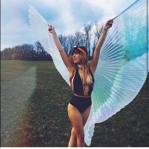 Iridescent butterfly wings